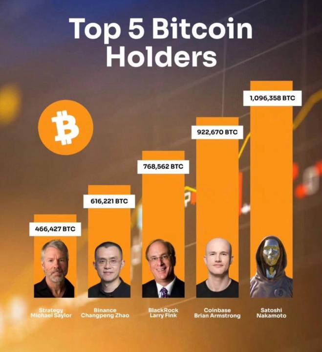 Top 5 Bitcoin Holders💰