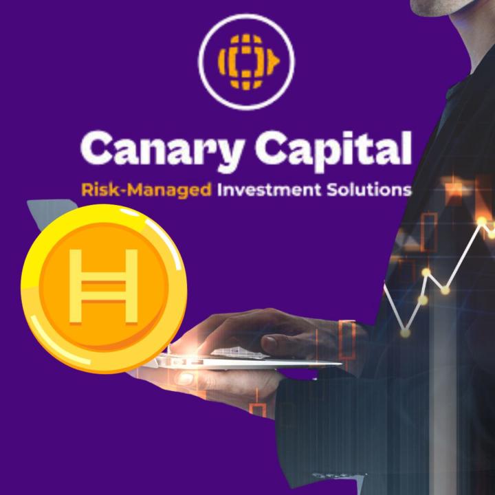 HBAR zwischen Zuflüssen, Technik und dem Ruf nach neuer Stärke