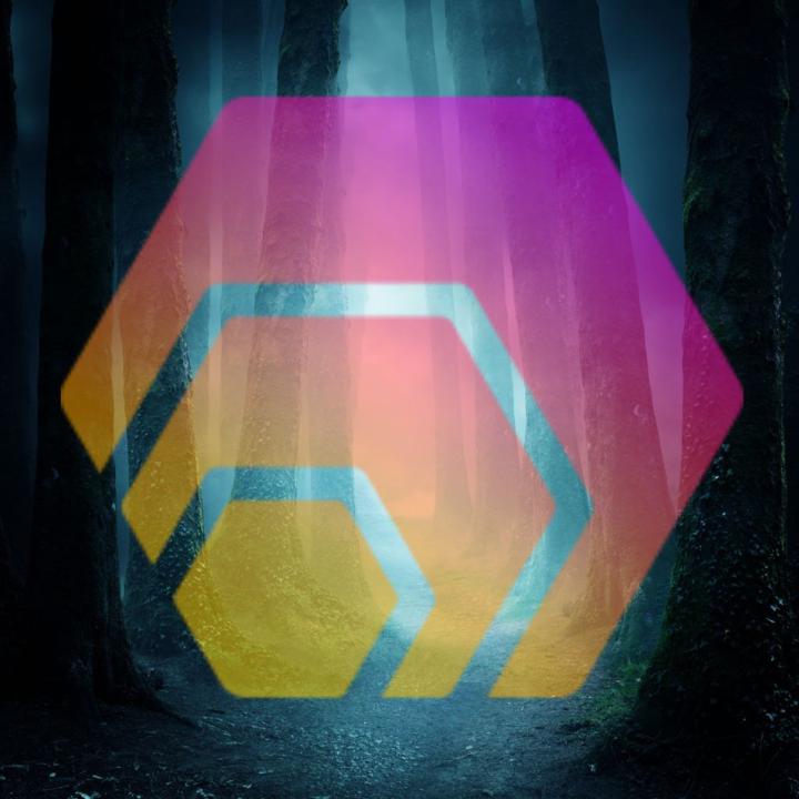 HEX – Das umstrittene Krypto-Experiment zwischen Genie, Risiko und Revolution