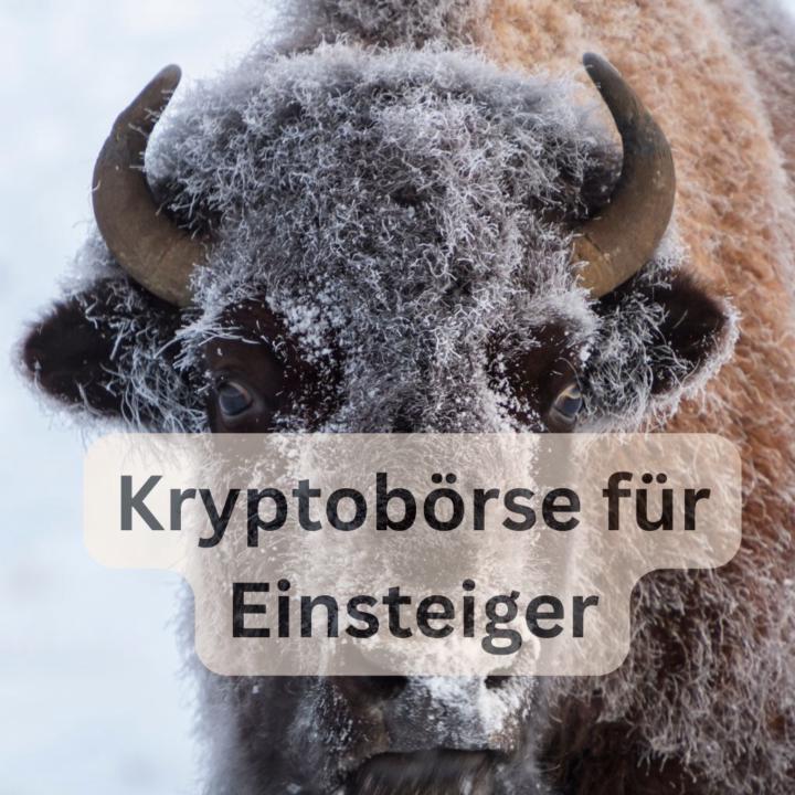 Anfänger aufgepasst! Sicher Bitcoin kaufen in Deutschland – die perfekte App für Einsteiger
