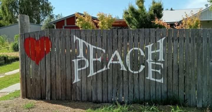 A world of lived experience