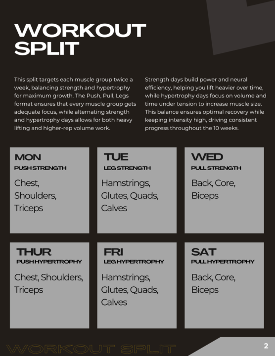 6 Day Workout Split