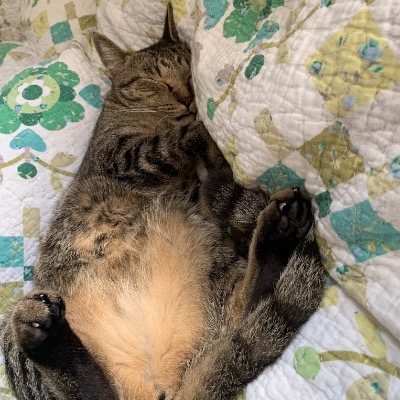 Moniessh Gunasegaran