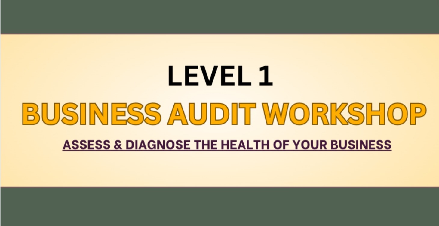 Business Audit Workshop