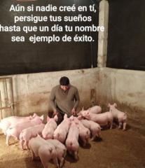 José Herrera Herrera