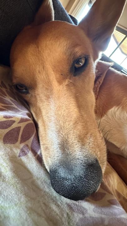 Marcos Martinez