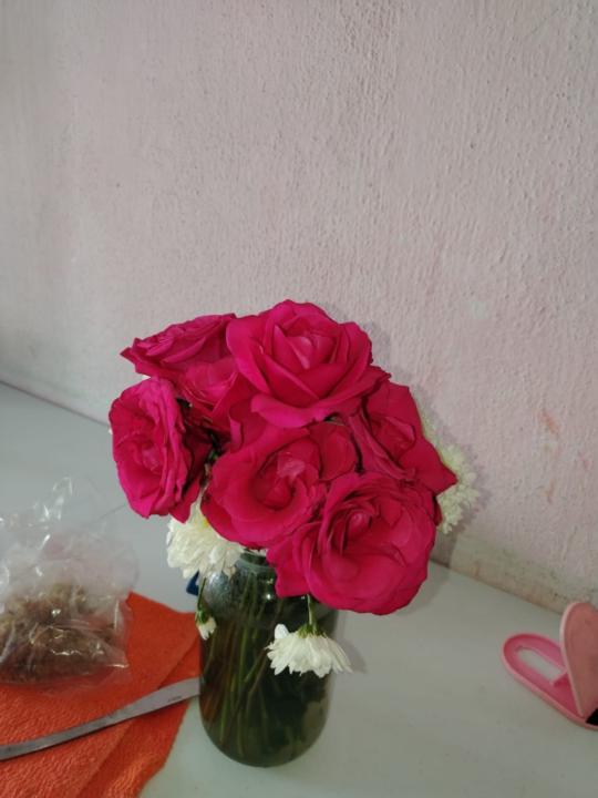 Mirna beatriz Vidal hernandez