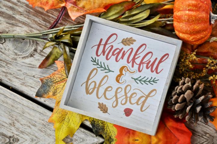🍂 A Thanksgiving Reflection - The Power of Gratitude for Seniors