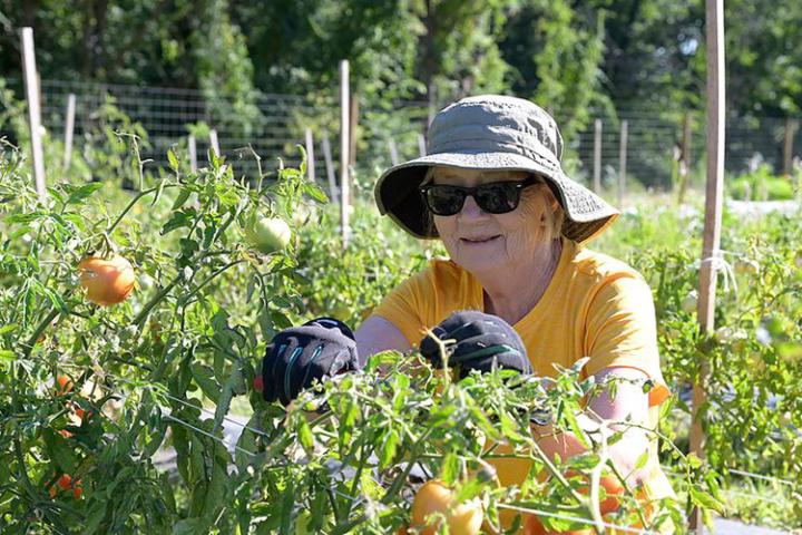 🌱 Growing Health and Happiness - How Organic Farms Are Transforming Senior Living