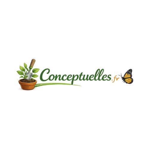 Coneptuelles Fr