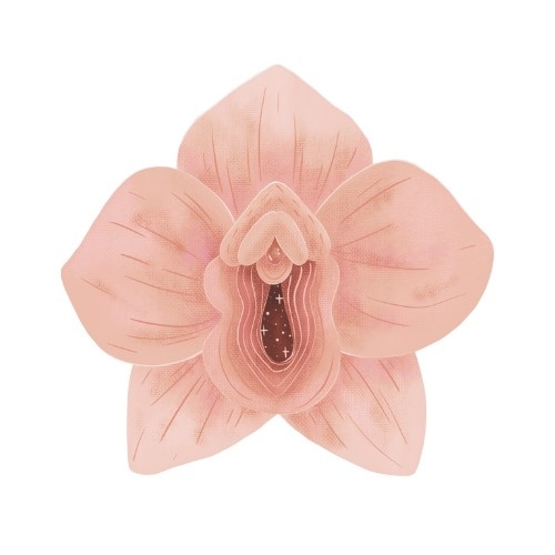 Yoni Massage Therapist