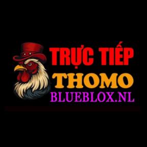 Đá gà trực tiếp Blublox