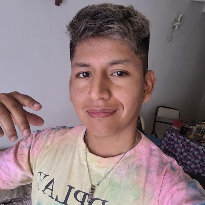 Ariel Villcazani