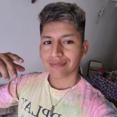 Ariel Villcazani