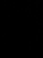 Shanaia Hassan Hussein