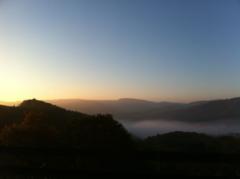 Silvia Tobias Tobias