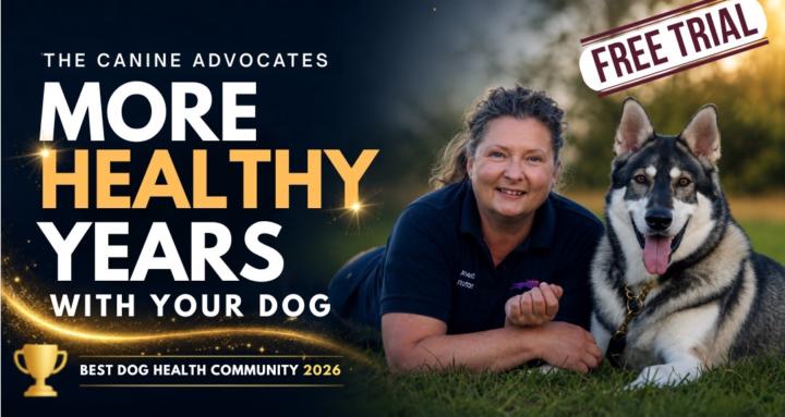 The Healthy Dog Community