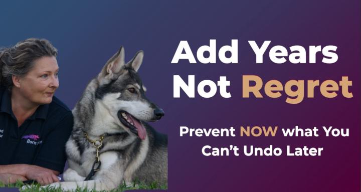 The Canine Advocates 🐶📚❤️‍🩹