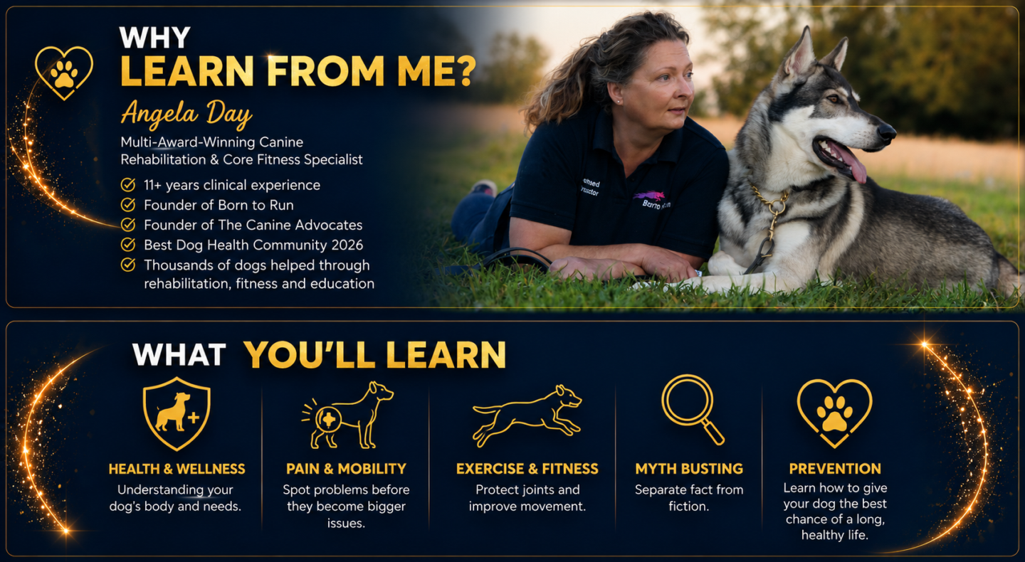 The Healthy Dog Community