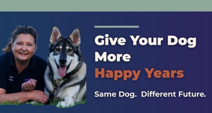 The Canine Advocates 🐶📚❤️‍🩹