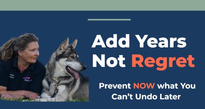 The Canine Advocates 🐶📚❤️‍🩹