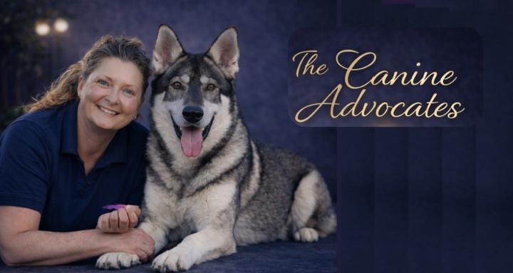 The Canine Advocates 🐶📚❤️‍🩹