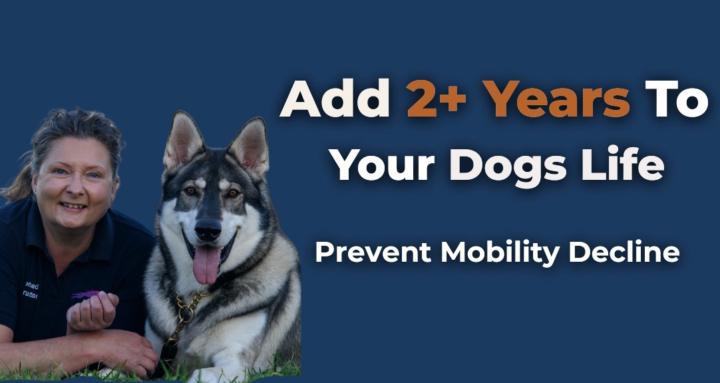 The Canine Advocates 🐶📚❤️‍🩹