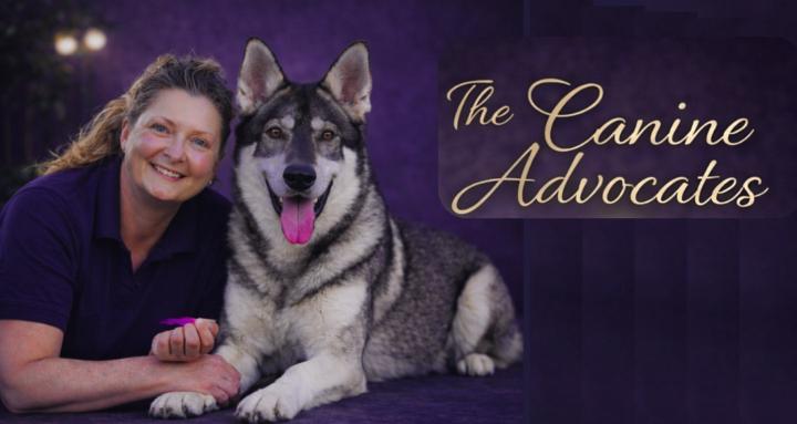 The Canine Advocates 🐶📚❤️‍🩹