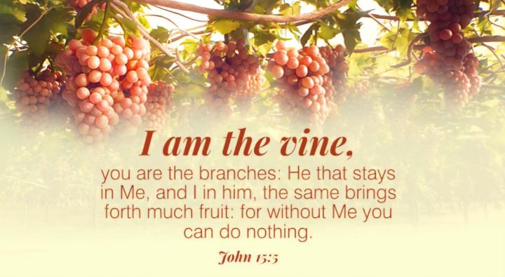 John 15:5 🤍