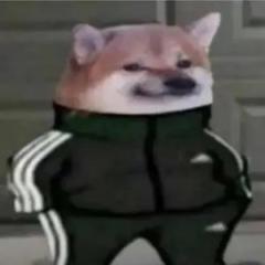 Cmoiwsh Tqt