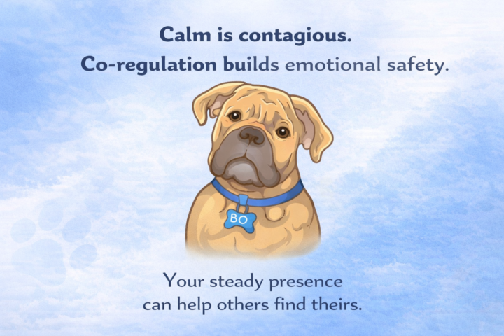 Co-Regulation — The Skill That Changes Everything