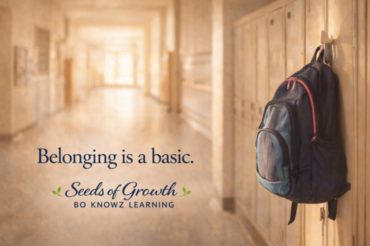 Belonging Is a Basic (4-part blog series)