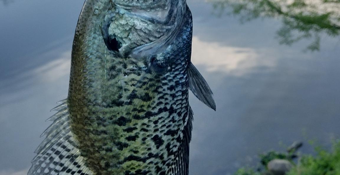 Fishing 101