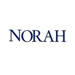 Norah Alzeyadi