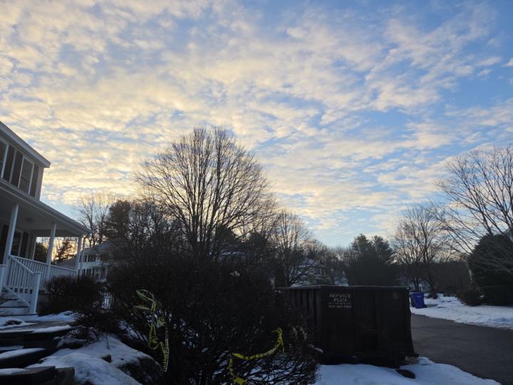 Busy Morning, but not so busy....