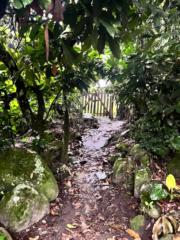 María de Los Ángeles