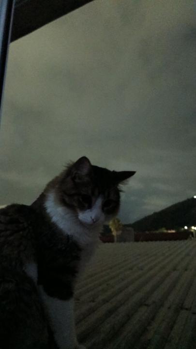 Maximiliano Mazzocchi