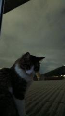 Maximiliano Mazzocchi