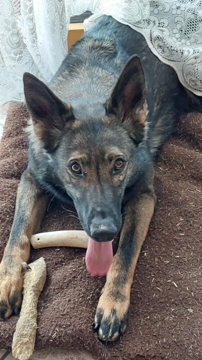 Andrea Riemensperger