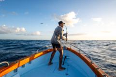 KingTide Automations
