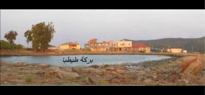 عزت بن احمد سعد