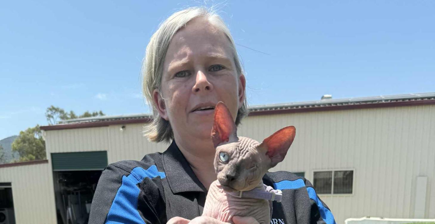 The PAWS Method: A Smarter, Calmer, Confident Cat