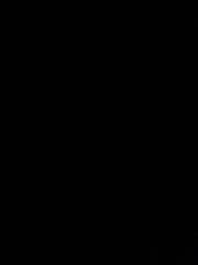Islam Bedjeti