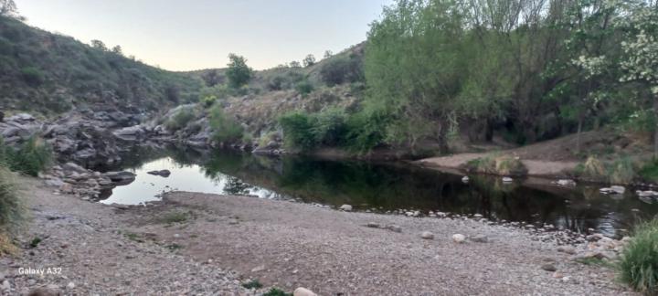 Fernando Mildemberger