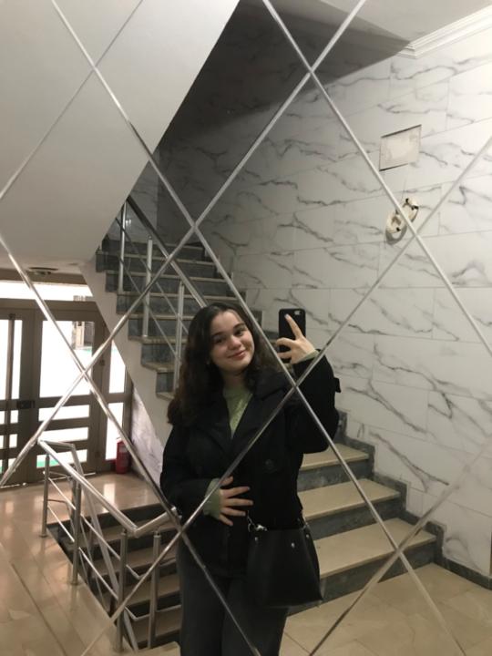 Ayşenur Hanım