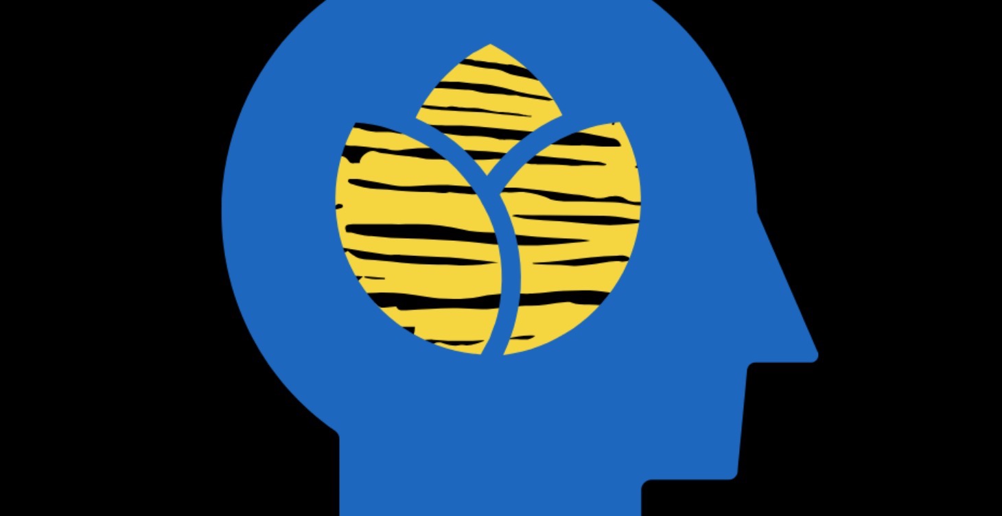 How would you rate your level of mental fitness?