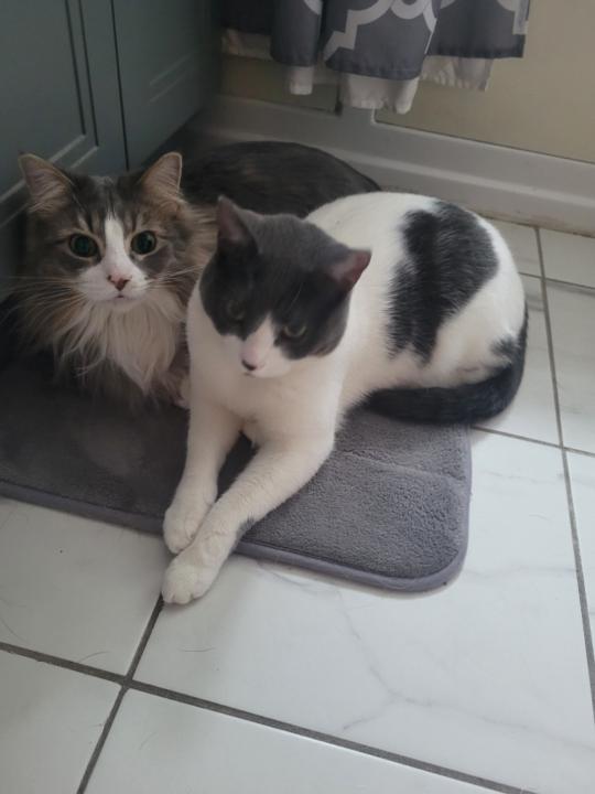 Christine Goberville