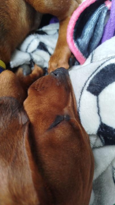 Heiner David Mahecha Pinzon