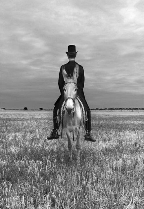 Wendy Jamers