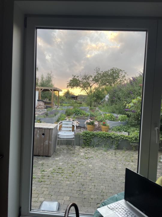 Your view right now?